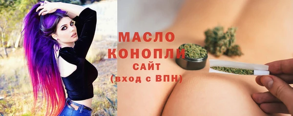 твердый Долгопрудный
