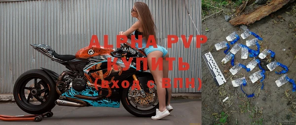шишки Гусиноозёрск