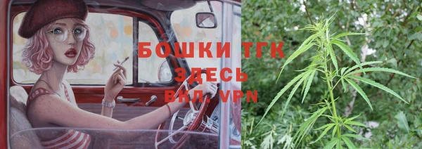 шишки Гусиноозёрск