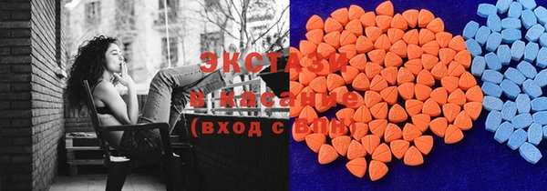 амф Ельня