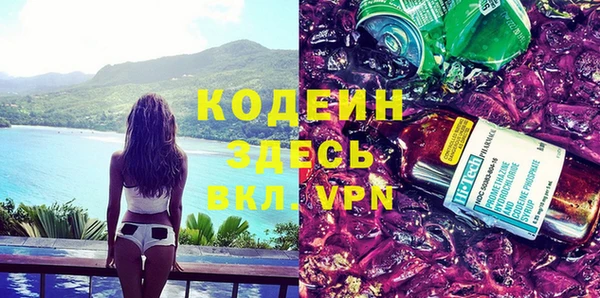 шишки Гусиноозёрск