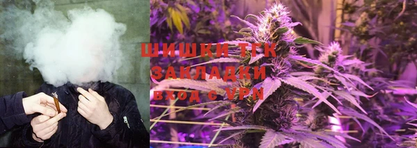 таблы Гусев